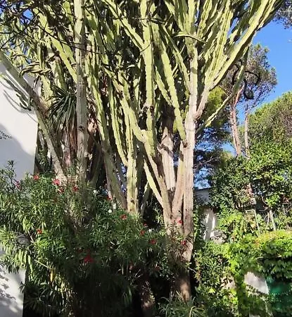 Casa Lucky - Anacapri * Anacapri (Isola di Capri)