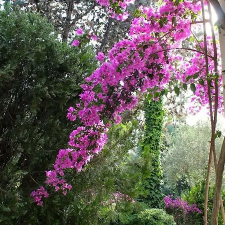 Ferienhaus Casa Lucky - Anacapri Anacapri (Isola di Capri)